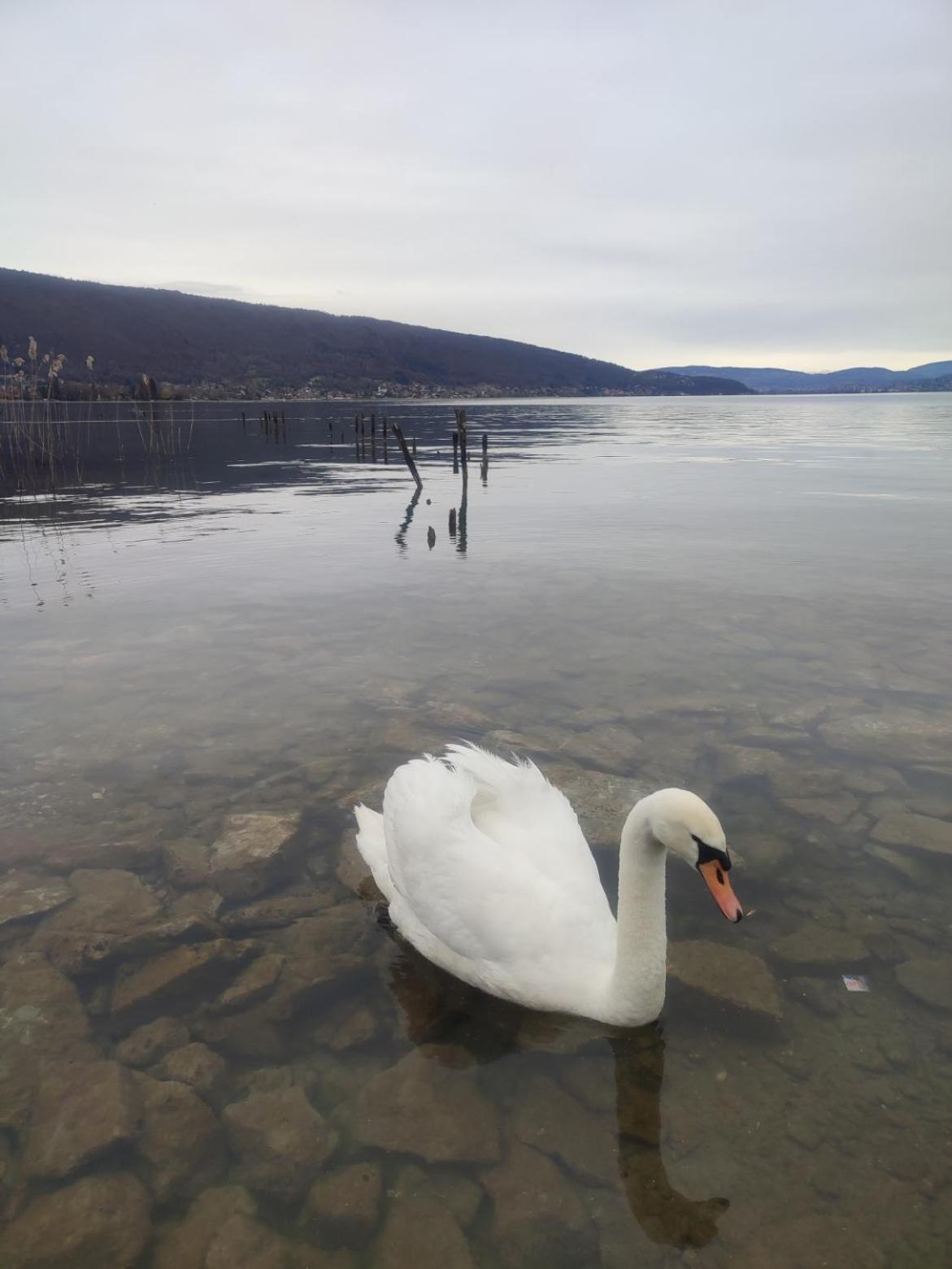 Chambre Atypique 2 Pers 200M Du Lac Saint-Jorioz Kültér fotó